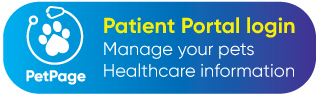 Ally Patient Portal