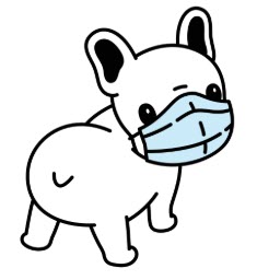 Frenchie with Mask